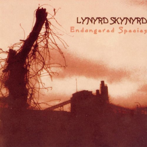 Things Goin' On歌词-Lynyrd Skynyrd