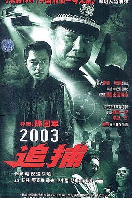 追捕2003电视剧全25集