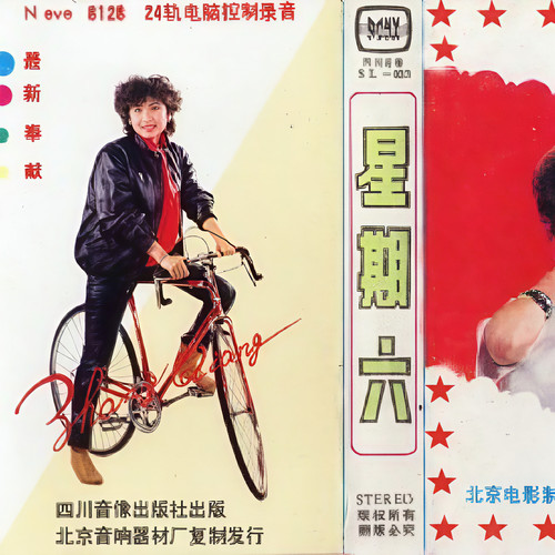 光阴的故事 (Single Version)歌词-张蔷