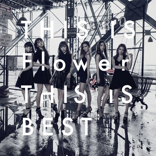 Dolphin Beach (version2016)歌词-Flower (フラワー)