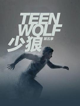 少狼第五季电视剧全20集