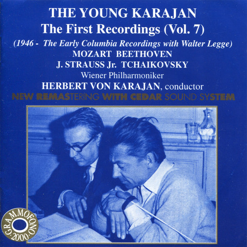 Symphony No. 33 in B-Flat Major, KV. 319 - II. Andante moderato (降B大调第33号交响曲，作品319)歌词-Wiener Philharmoniker / Herbert von Karajan