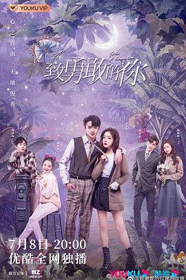 致勇敢的你电视剧全36集