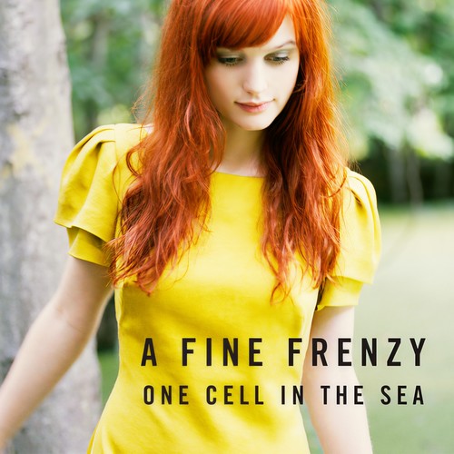 Lifesize歌词-A Fine Frenzy