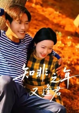 知非之年又逢君短剧全62集