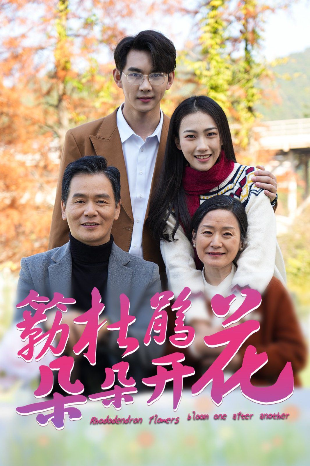簕杜鹃花朵朵开短剧全38集