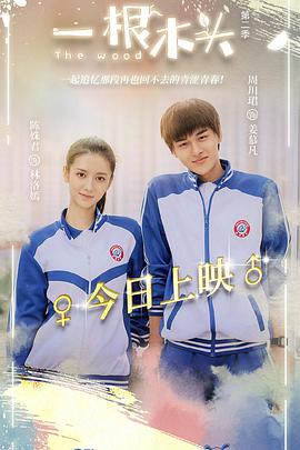 一根木头第二季电视剧12集全